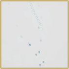 21843670ff003877cdd1e3e1caf1a159bfa74076.png